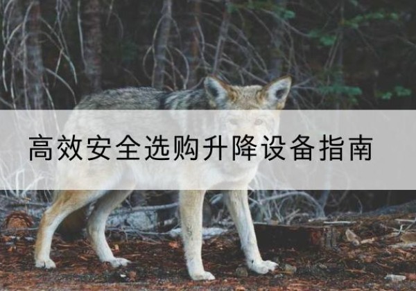 南涧升降货梯厂家推荐-*安全选购升降设备指南
