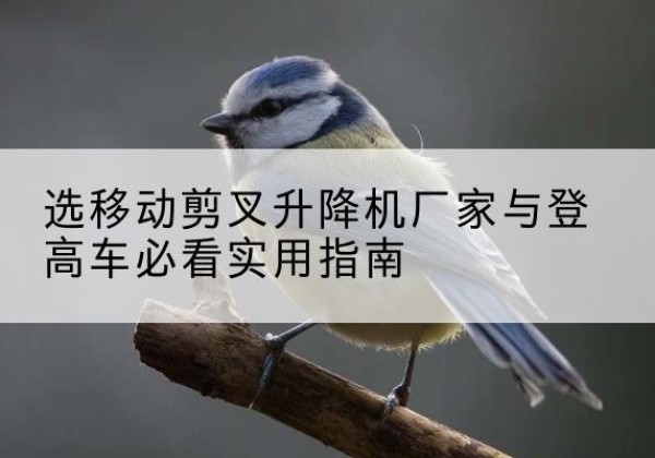 南涧电动升降机厂家-选移动剪叉升降机厂家与登高车必看实用指南