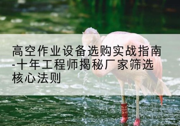 南涧剪叉式升降机厂家-高空作业设备选购实战指南-十年工程师揭秘厂家筛选核心法则